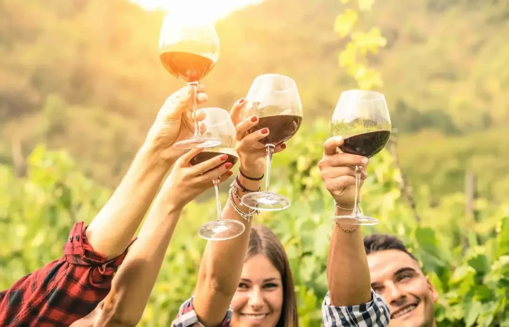 Group of friends raising wine glasses in a cheers at an outdoor wine tasting with golden sunset light and vineyard in background